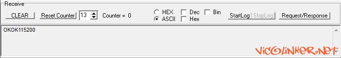 Terminal Recive 